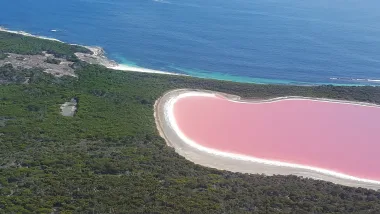 Credit: https://en.wikipedia.org/wiki/Lake_Hillier#/media/File:Pink_Lake_(Lake_Hillier)_on_Middle_Island_off_the_coast_of_Esperance_Western_Australia.jpg
