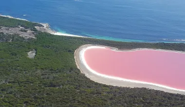 Credit: https://en.wikipedia.org/wiki/Lake_Hillier#/media/File:Pink_Lake_(Lake_Hillier)_on_Middle_Island_off_the_coast_of_Esperance_Western_Australia.jpg