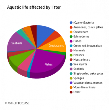 How Ingesting Microplastics is Affecting Aquatic Mammals